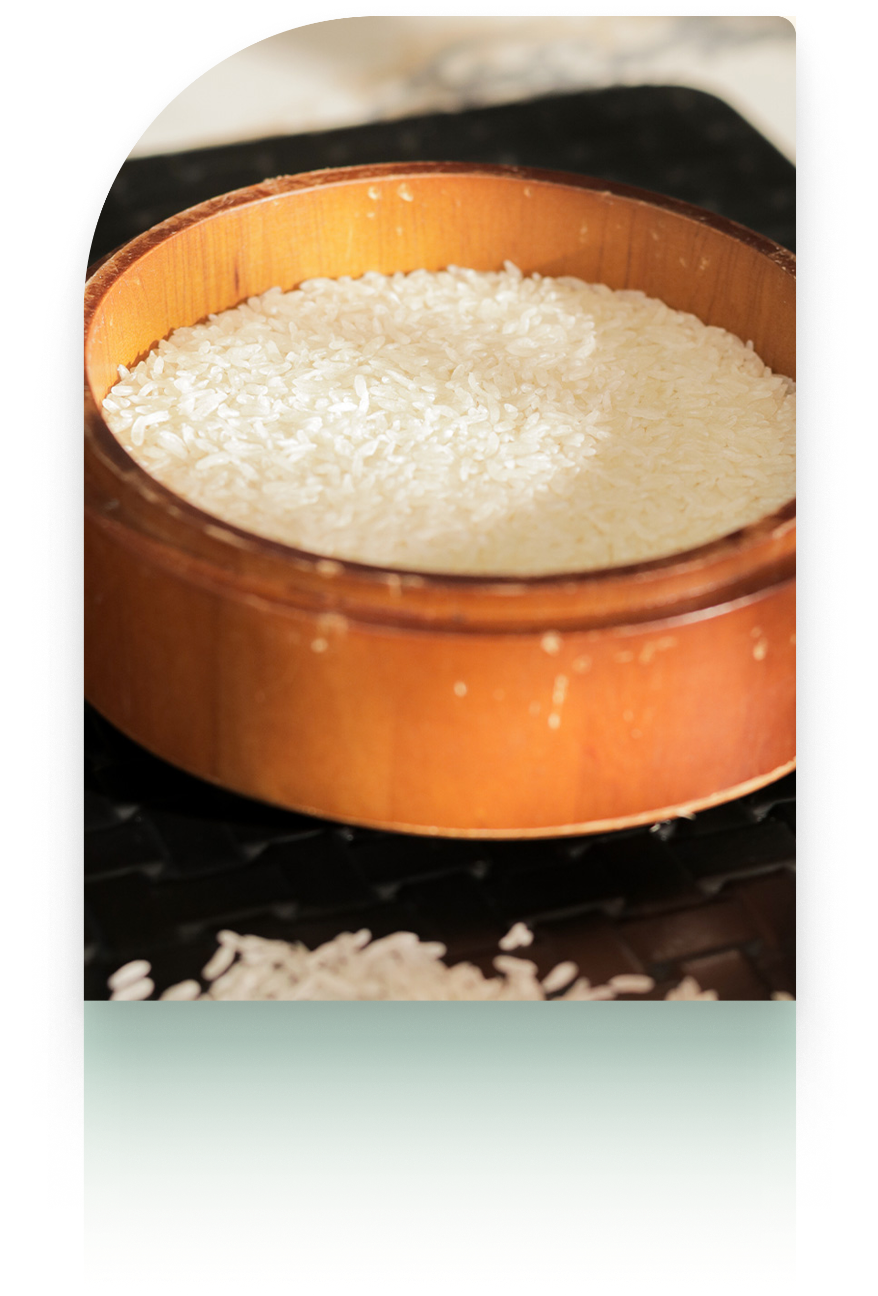 Rice Grains